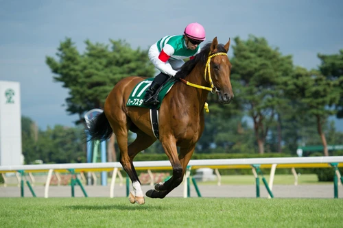 草競馬　オートマタ　（オマージュ品） 草競馬 オートマタ （オマージュ品） 【公式通販】